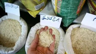 قیمت برنج پاکستانی از ایرانی گرانتر شد!