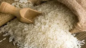 دلیل گرانی برنج چیست؟