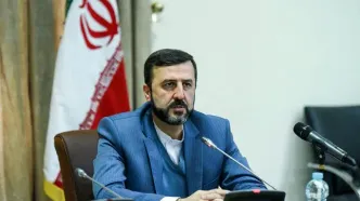 غریب‌آبادی: ایران هیئت به‌اصطلاح حقیقت‌یاب را به رسمیت نمی‌شناسد
