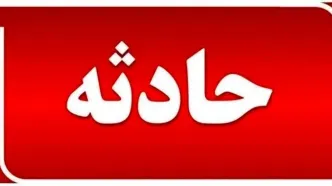 سقوط درخت در بزرگراه امام علی (ع) /ترافیک در محدوده بزرگراه امام علی (ع)