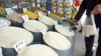 برنج ایرانی ارزان شد!