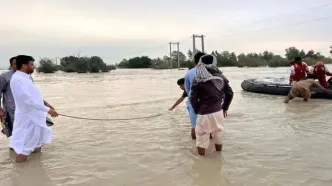 سیل سیستان‌وبلوچستان باعث شده فاضلاب با آب مصرفی قاطی شود، نگران بیماری‌های عفونی هستیم/ عمده زیرساخت های منطقه سیلابی به طور کامل از بین رفته