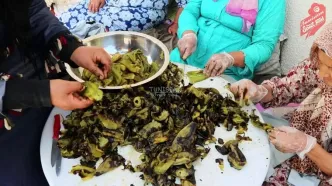 (ویدئو) فرآیند پخت غذاهای عروسی در تونس؛ از بادمجان کبابی و گوشت تا پلو گوجه