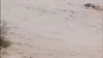 فیلم نفسگیر از لحظه نجات معجزه آسای خودرو گرفتار در سیلاب / در دلگان رخ داد