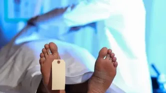 مرگ مرموز استاد دانشگاه؛ جنایت یا حادثه‌ای در کوهستان؟