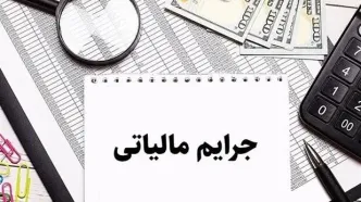 جرایم مالیاتی صرفا تا پایان امسال مهلت بخشودگی دارند