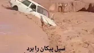 فیلم لحظه بلعیده شدن پیکان در سیل در روستای قلعه‌نو