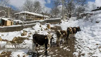 زمستان این روستای ییلاقی را از دست ندهید+ تصاویر