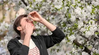 این مواد غذایی آلرژی بهاری را کاهش می دهد