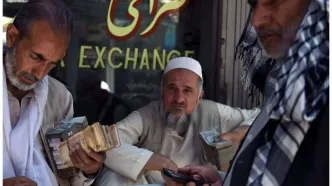 کانال تلگرامی «دلار هرات» مسدود شد