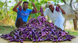 (ویدئو) غذای روستایی در هند؛ پخت یک غذای ابتکاری و ویژه با 10 کیلو بادمجان