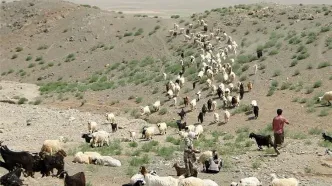 ماجرای شلیک به سمت عشایر در شهرستان کوار استان فارس