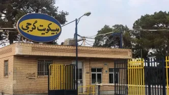 رونمایی از محصولات جدید گرجی