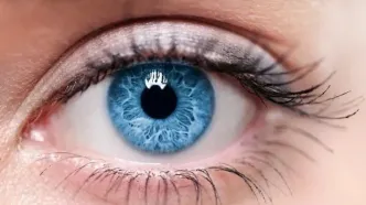 فال رنگ چشم | فال و طالع بینی دقیق با توجه به رنگ چشم!