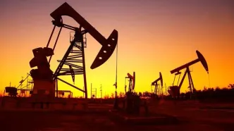کشف نفت شیل در 10 نقطه ایران+جزئیات
