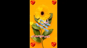 فال روزانه 26 فروردین + فیلم