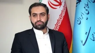 تعریف عجیب معاون وزیر کار از شغل جنجالی شد+فیلم