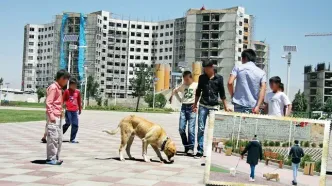 شغل پاره وقت و پُردرآمدی که در ایران مُد شده است