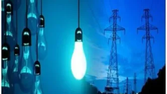 وزارت نیرو باید خسارت ناشی از قطعی برق را به کشاورزان بپردازد