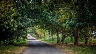 ببینید | نمای کلی از طبیعت ماسال