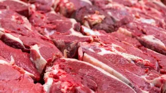 قیمت گوشت در بازار 5 مرداد 1403 اعلام شد | قیمت گوشت گرم کیلویی چند؟