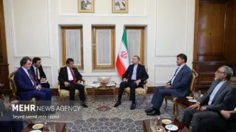 تصاویر: دیدار هیئت دوستی ایران و ترکیه با وزیر خارجه