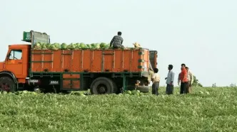 ماجرای جنجالی برگشت هندوانه صادراتی ایران از عراق و فروش محموله مرجوعی در بازار کردستان؛ هندوانه ایرانی آلوده است؟/ ویدئو