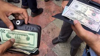 قیمت دلار بالا رفت | قیمت دلار در بازار امروز 1 خرداد 1403