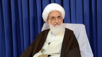 آیت الله نوری همدانی خطاب به رئیسی: هر کجا قدم می‌گذارید مردم‌ از گرانی و سختی زندگی می‌گویند