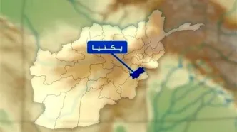 پایان درگیری‌ها؛ مقامات طالبان و پاکستان به مذاکره نشستند