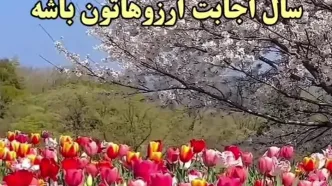 فال روزانه 26 اردیبهشت ماه + فیلم