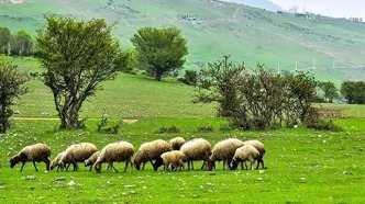 پیشنهاد نامگذاری روز ملی مرتع و مرتعداری در تقویم رسمی کشور