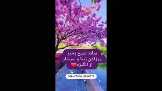 فال روزانه 29 اردیبهشت ماه + فیلم