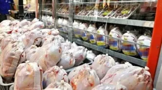 ۱۵۰ تن مرغ صادر شد | قیمت جدید مرغ در بازار ۲ مرداد