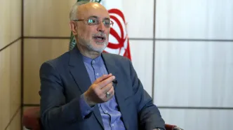 پیام تسلیت علی‌ اکبر صالحی در پی شهادت رئیس‌ جمهور و هیات همراه