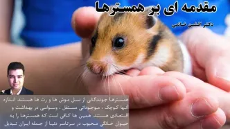 مقدمه ای بر همسترها (1)