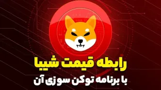 رابطه قیمت شیبا با برنامه توکن سوزی آن