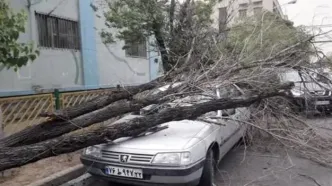 هشدار جدی طوفان به ۵ استان کشور | بارش باران و تگرگ و وزش باد شدید