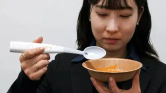 راز آشپزی حرفه‌ای ژاپنی‌ها: قاشق‌های جادویی که غذای شما را متحول می‌کنند! (فیلم)