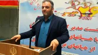 انوشیروانی: در حال بازسازی مجموعه خود هستیم