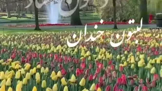 فال و طالع بینی روزانه 6 خرداد