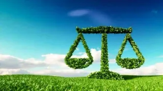 حکم جالب و سبز یک قاضی برای متخلف  زیست محیطی