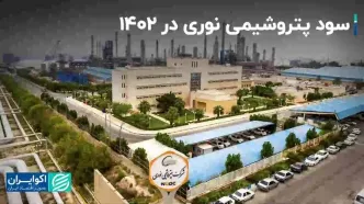 سود پتروشیمی نوری در 1402