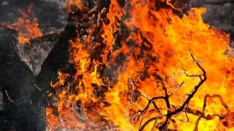 ۱۷ نفر برای آتش سوزی جنگل های لرستان دستگیر شدند
