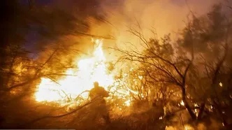 درخواست کمک خوزستان برای تامین تجهیزات مهار آتش در جنگل ها / زیستگاه اصلی گوزن زرد ایرانی در خطر است