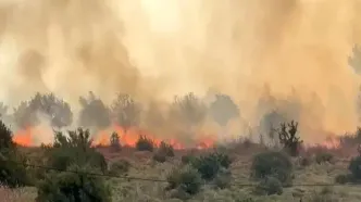 مهار آتش‌سوزی جنگل‌ها در غرب کشور با کمک هواپیمای ایلوشین