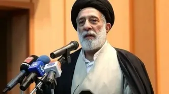 سید هادی خامنه‌ای: من اهل پیش بینی نیستم / اگر اوضاع سالم و درست پیش برود به آینده این انتخابات و کشور امیدواریم/ ویدئو