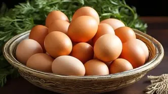 قیمت تخم مرغ در بازار امروز ۶ تیر ۱۴۰۳+ جدول