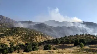 مهار آتش‌سوزی در بخشی از جنگل‌‌های پلدختر