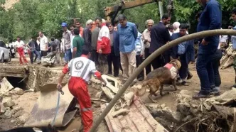 پیدا شدن پیکر یکی از مفقودین سیل جاده چالوس